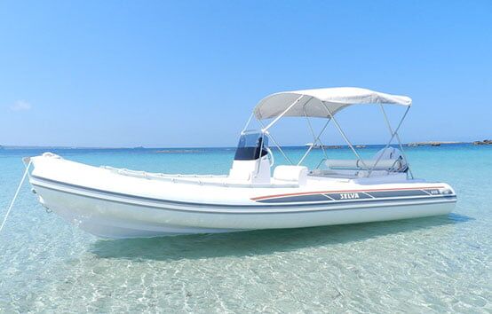 SELVA 650 DS