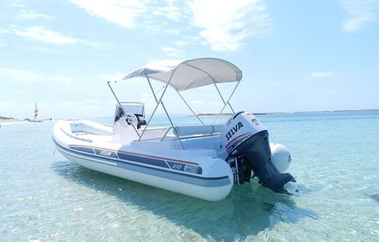 SELVA 650 DS - Imagen 2